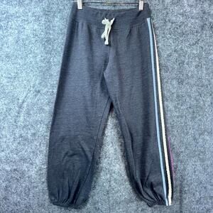 Sundry Jogger Pants Womens Size 0 Gray Drawstring Racing Stripes Athleisure